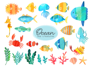 水彩風海の生き物イラスト（マンボウ、イカ、ヤドカリ、ヒトデ、貝、熱帯魚、チョウチョウウオ、カクレクマノミ、サンゴ、珊瑚、カニ、タツノオトシゴ、ハリセンボン、キイロハギ、ニシキヤッコ、クラゲ）