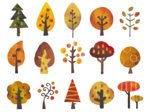 秋の木北欧風水彩イラストセット（木、水彩、北欧、葉、森、紅葉、林、森林、枯れ葉、木の実）