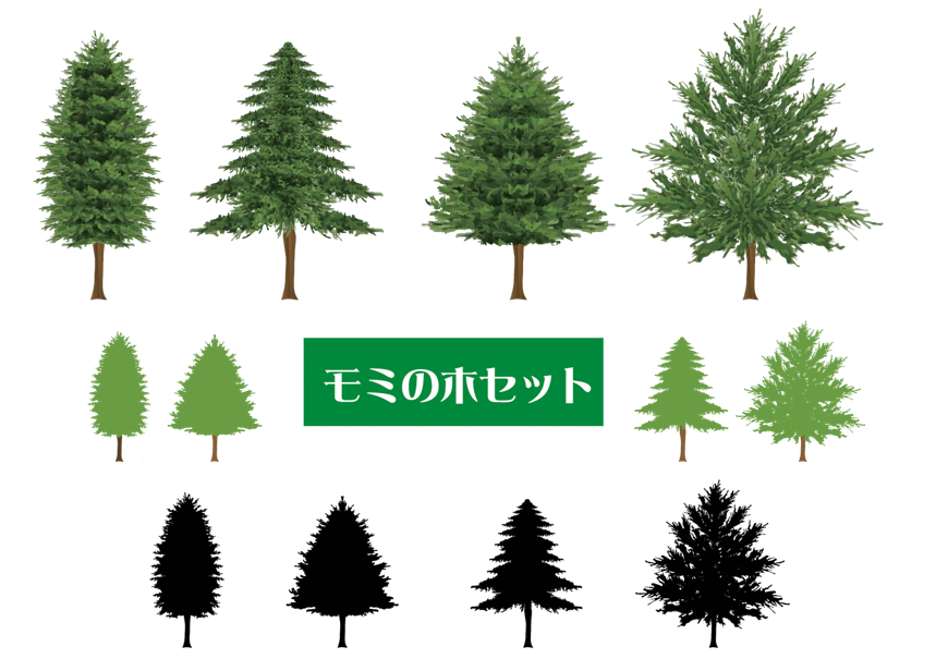 リアルなもみの木のイラスト素材（木、クリスマスツリー、モミの木、針葉樹、植物、樹林、植木、樹木、冬、葉、ツリー、木々、葉っぱ、並木）