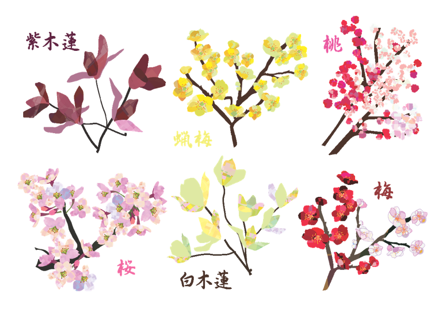 花木セット（木、花木、樹木、春、梅、桃、桜、紫木蓮、白木蓮、マグノリア、蝋梅、紅梅、春の木）