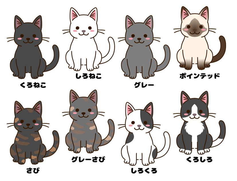 色々な毛色の猫たち１（ネコ、白猫、黒猫、グレー、灰色、ポインテッド、シャムネコ、サビ、サビネコ、毛色、色々、動物、ペット、飼い猫、かわいい、デフォルメ）