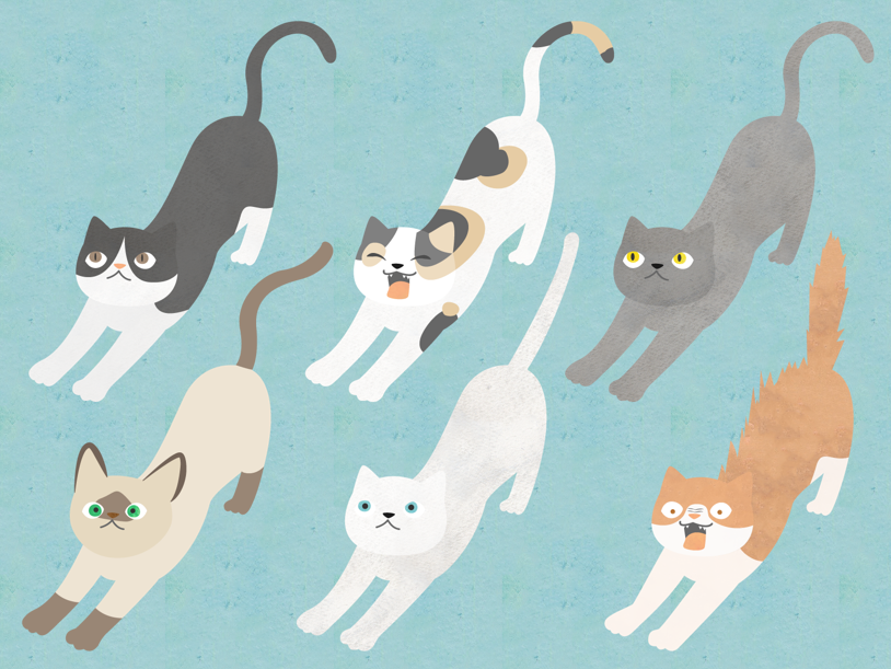 伸びをする猫たち（猫、白猫、三毛猫、白黒猫、ロシアンブルー、あくび、伸び、威嚇、ペット、水彩、かわいい、動物、尻尾、ポーズ、生き物、リラックス、シャムネコ、セット）