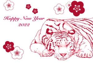 寝ているトラの年賀状テンプレート（虎、赤、ピンク、ネコ科、手描き、おやすみ、寝ている、可愛い、リアル、寅、寅年、2022年、ニューイヤーカード、年末、新年、お昼寝、正月、季節、冬、梅、めでたい、梅の花、植物、花柄、花、タイガー）