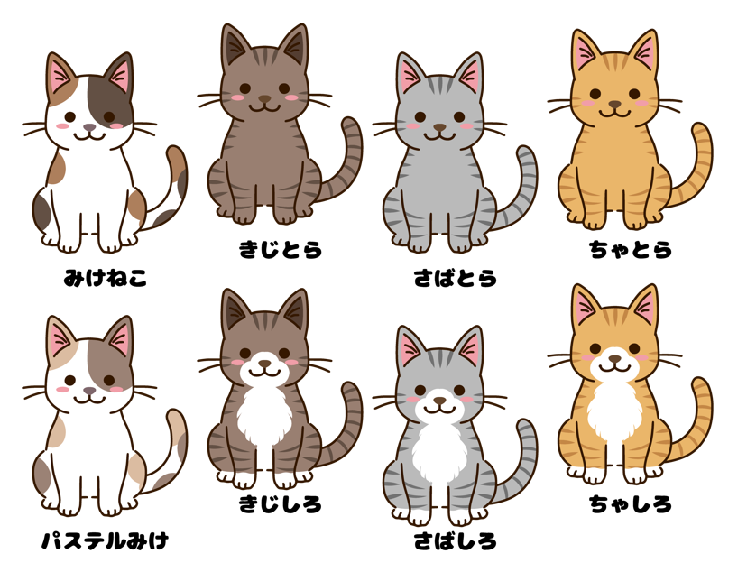 色々な毛色の猫たち２（ネコ、三毛猫、ミケ、キジトラ、サバトラ、チャトラ、トラ猫、虎柄、毛色、色々、動物、ペット、飼い猫、かわいい、デフォルメ）