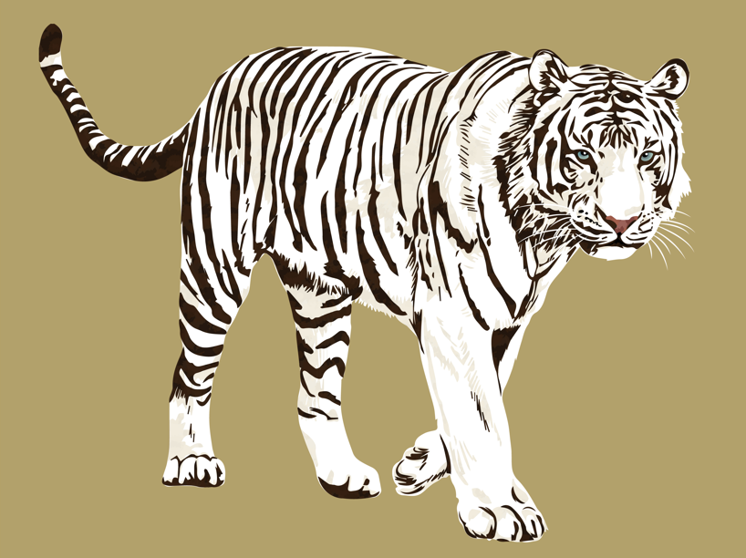 トラ_リアルイラスト（虎、寅年、2022、寅、トラ、とら、虎柄、年賀状、干支、動物、アニマル、リアル、動物園、ネコ科、猛獣）