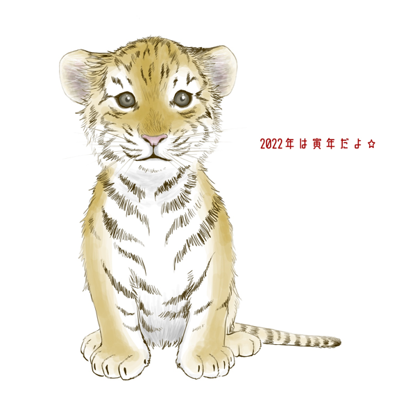もふもふかわいいトラのお子さん（トラ、子トラ、とら、虎、手描き、手書き、寅、寅年、かわいい、もふもふ、ベンガルトラ、タイガー、水彩）