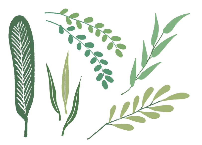 鉛筆手描き葉っぱ（鉛筆、手描き、手書き、葉っぱ、葉、グリーン、植物、ナチュラル、緑、木の葉、アナログ、北欧、自然、可愛い、かわいい、おしゃれ、テキスタイル、シャビー、観葉植物）